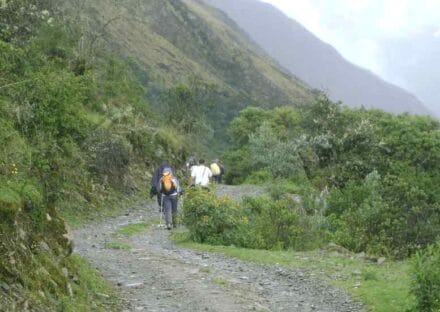 Galería de imágenes en miniatura