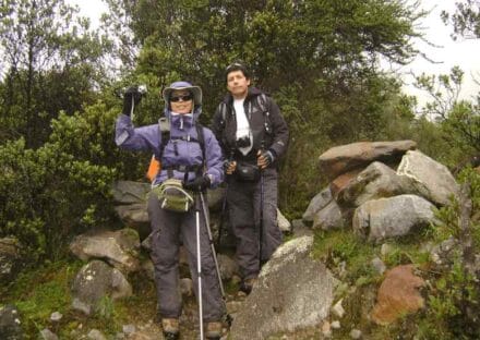 Galería de imágenes en miniatura