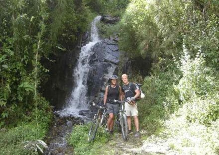 Galería de imágenes en miniatura