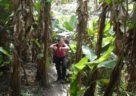 Galería de imágenes en miniatura