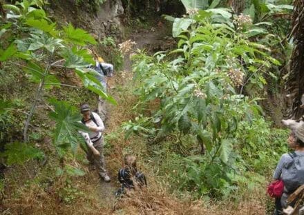 Galería de imágenes en miniatura