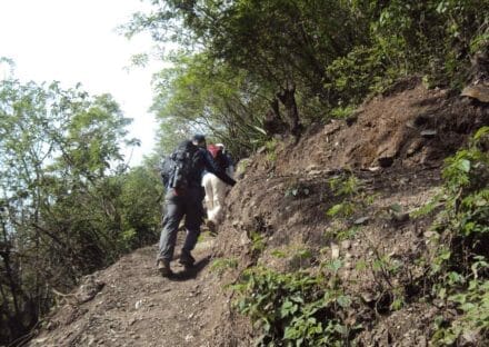 Galería de imágenes en miniatura