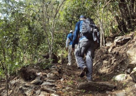 Galería de imágenes en miniatura