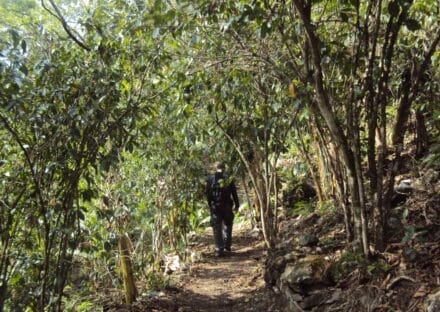 Galería de imágenes en miniatura