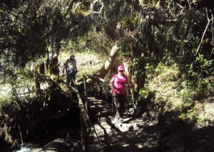 Galería de imágenes en miniatura