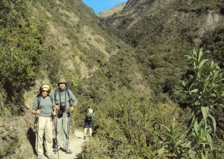 Galería de imágenes en miniatura