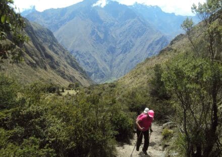 Galería de imágenes en miniatura