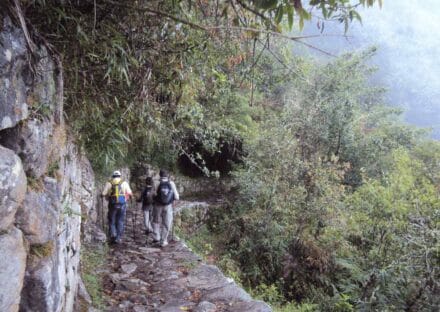 Galería de imágenes en miniatura