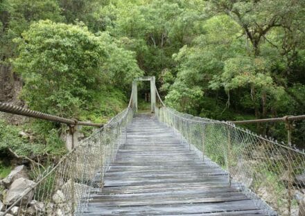 Galería de imágenes en miniatura