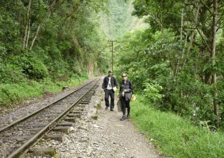 Galería de imágenes en miniatura