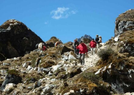 Galería de imágenes en miniatura