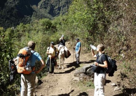 Galería de imágenes en miniatura