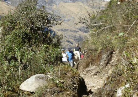 Galería de imágenes en miniatura