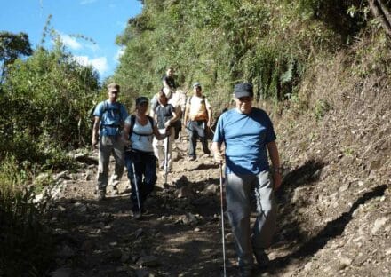Galería de imágenes en miniatura