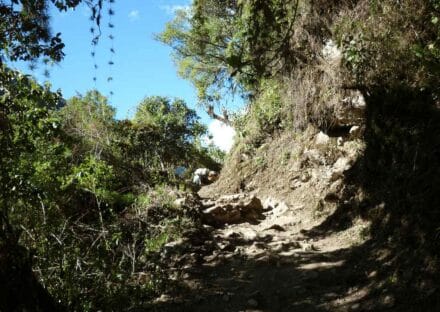 Galería de imágenes en miniatura