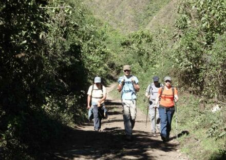 Galería de imágenes en miniatura