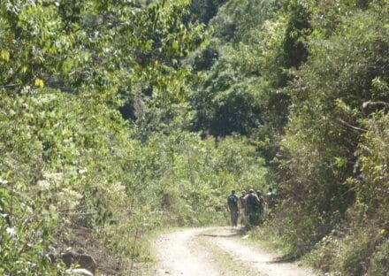 Galería de imágenes en miniatura