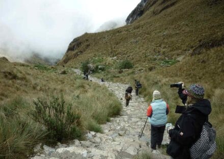 Galería de imágenes en miniatura