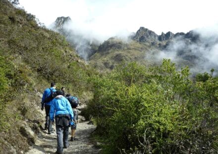 Galería de imágenes en miniatura