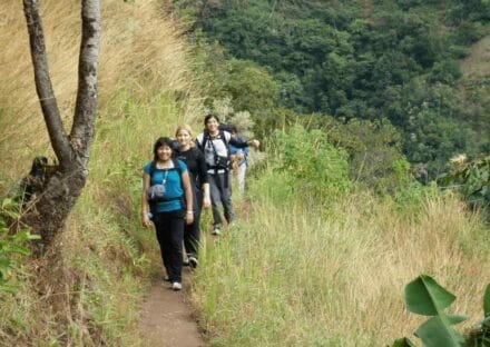 Galería de imágenes en miniatura