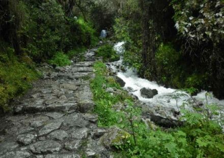 Galería de imágenes en miniatura