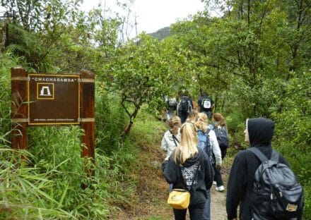 Galería de imágenes en miniatura