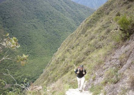 Galería de imágenes en miniatura