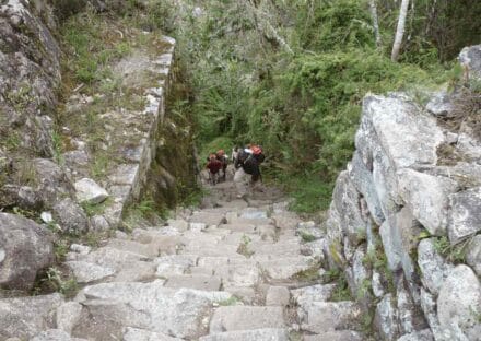 Galería de imágenes en miniatura