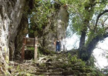 Galería de imágenes en miniatura