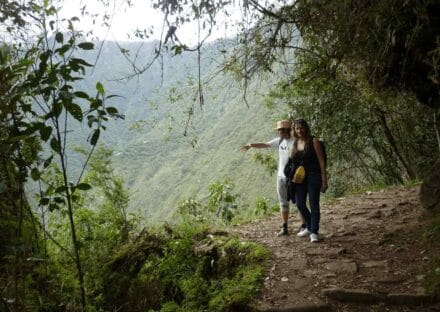 Galería de imágenes en miniatura