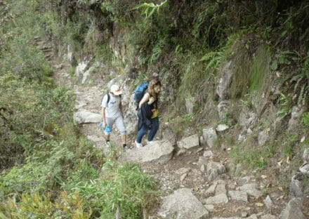 Galería de imágenes en miniatura