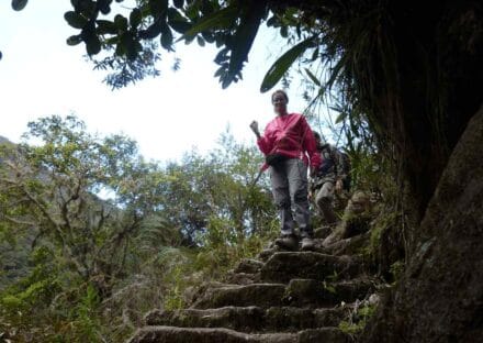 Galería de imágenes en miniatura