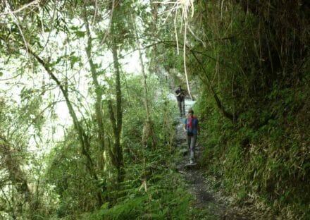 Galería de imágenes en miniatura