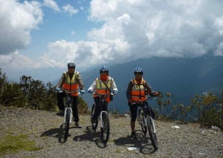 Galería de imágenes en miniatura