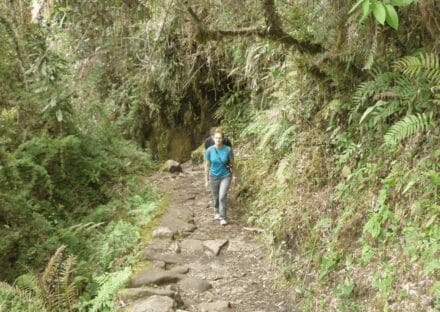 Galería de imágenes en miniatura