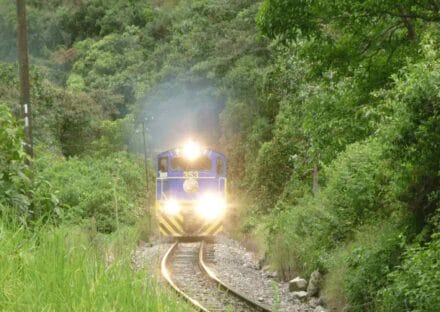 Galería de imágenes en miniatura