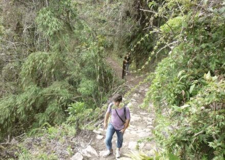 Galería de imágenes en miniatura