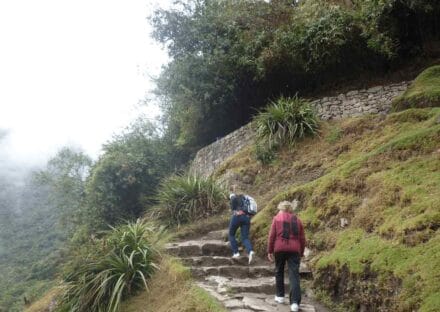 Galería de imágenes en miniatura