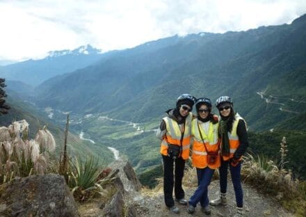 Galería de imágenes en miniatura