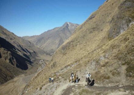 Galería de imágenes en miniatura