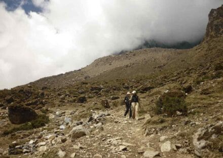 Galería de imágenes en miniatura