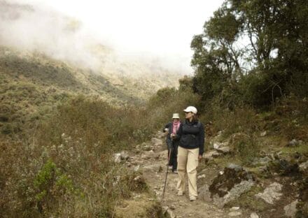 Galería de imágenes en miniatura