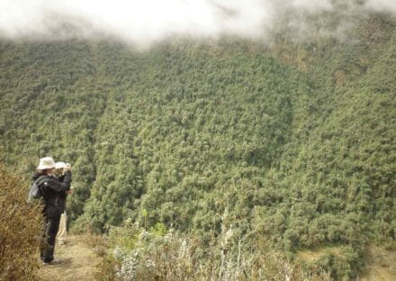 Galería de imágenes en miniatura