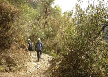 Galería de imágenes en miniatura