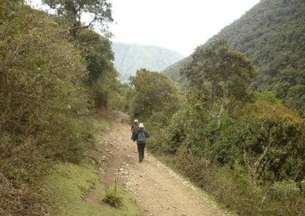 Galería de imágenes en miniatura