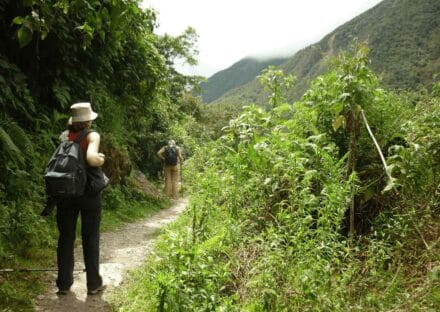 Galería de imágenes en miniatura