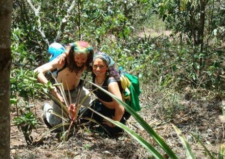 Galería de imágenes en miniatura