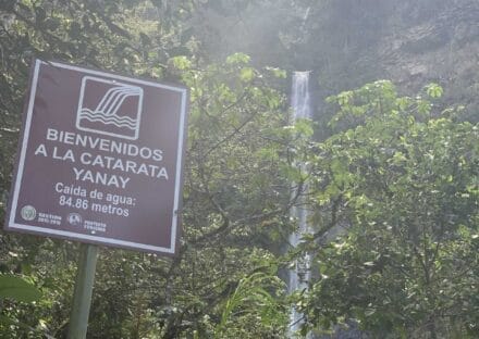 Galería de imágenes en miniatura