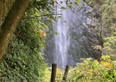 Galería de imágenes en miniatura